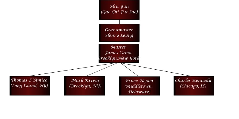 Fut Sao Wing Chun lineage