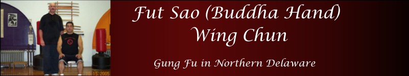 Fut Sao Wing Chun of Delaware